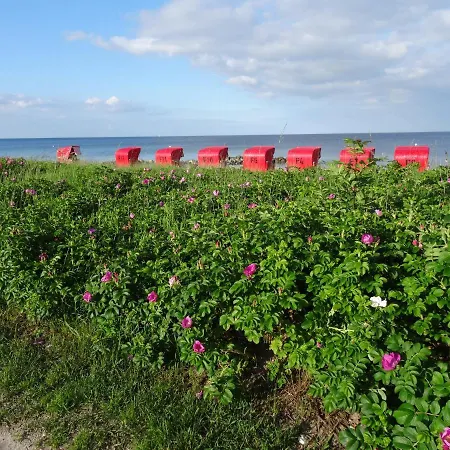 Bed & Breakfast Luette Nest 3*