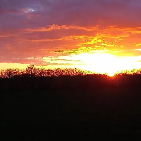 Luette Nest Отель типа 