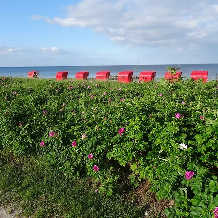 Luette Nest Brodersby (Schwansen)