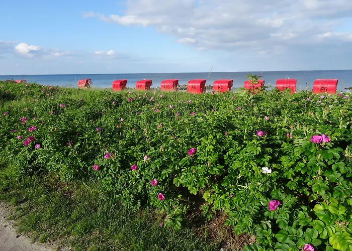 Luette Nest Brodersby (Schwansen)